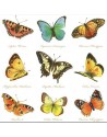 SERVILLETAS DE COMIDA MOD: COLECCION DE MARIPOSAS