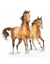 SERVILLETAS DE COMIDA MOD: CABALLOS SALVAJES