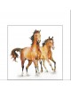 SERVILLETA DE BEBIDA MOD: CABALLOS SALVAJES