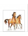 SERVILLETA DE BEBIDA MOD: CABALLOS SALVAJES