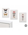 CUADRO LIENZO MARCO BLANCO MARIPOSAS